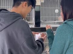 -翊宠yipet猫狗购宠庄园犬舍•猫舍