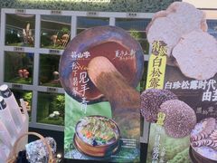 -芸山季·云南山珍菌火锅(南翔印象城MEGA店)