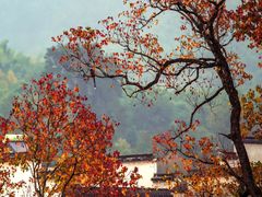 -塔川景区