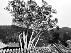 -潭柘寺景区