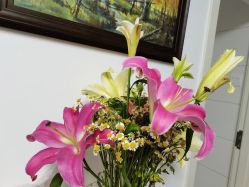 -Oasis Beauty水磨坊科技美肤中心