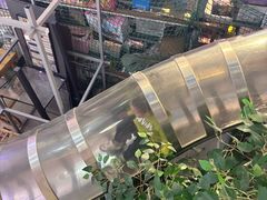-枫蓝国际购物中心