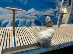 -成都浩海立方海洋公园