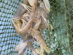 -波记美食店·现捞海鲜