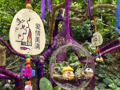 -深圳仙湖植物园