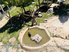 -石家庄市动物园