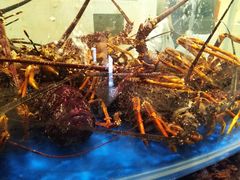 -海景壹号大酒店(滨湖店)