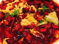 -添福来墨鱼饺子 · 海鲜东北菜(大连星海·黄浦路店)