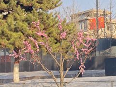 -太原动物园
