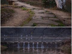 -茅家埠