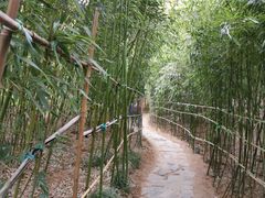 -竹子庵公园