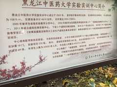 -黑龙江中医药大学