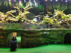 -海合安成都极地海洋公园