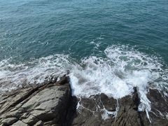 -小麦岛公园