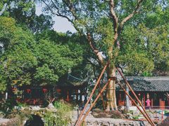 -上海醉白池公园