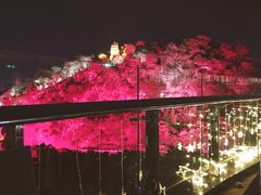-璟象酒店-爱丽坊景观餐厅