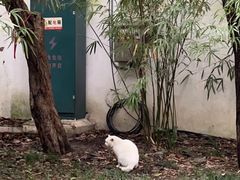 -西园戒幢律寺