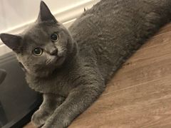 -宠颐生宠物医院·心肾内科·猫专科诊疗中心宠巢店