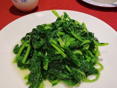 酒香豆苗-老吉士酒家(天平路店)