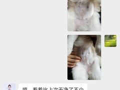 -宠爱国际动物医院· 猫科· 外科·中兽医(长白店)