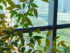 -四方茶集·茶馆(南山科技园店)