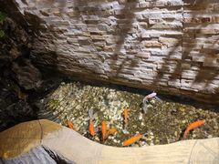 -鸥迪足道(老虎滩店)