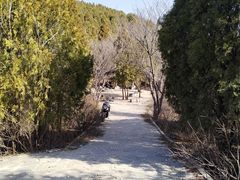 -水池山公园