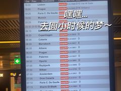 -米兰马尔彭萨国际机场