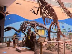 -陕西自然博物馆