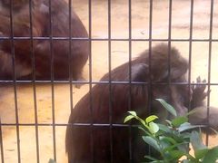 -上海动物园(地铁站)