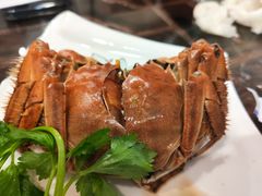 -呼吸森林·生态农庄农家乐私房菜