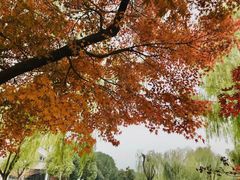 -苏州工学院(东湖校区)