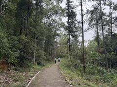 -青龙山国家森林公园