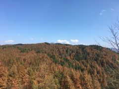 -山王坪喀斯特国家生态公园