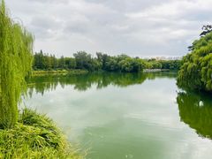 -济南大明湖景区