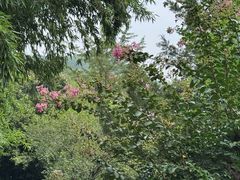 -狼山风景名胜区