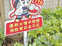 -长洲岛