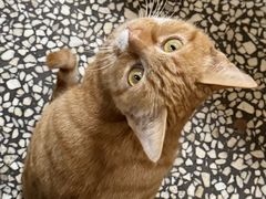 -老刘家泡馍·陕西老字号(钟楼广济街店)