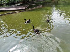 -海南热带野生动植物园