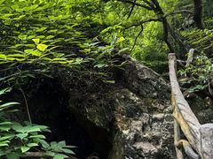 -雁荡山雁湖景区