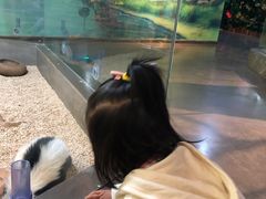 -昆明大悦城未来动物城(螺蛳湾中心店)
