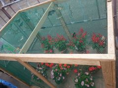 android_upload_pic-鼎湖山风景区