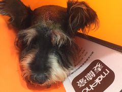 -哆趣宠物医院·眼科·内镜·急重症转诊中心(上海店)