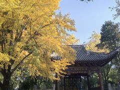 -汇龙潭