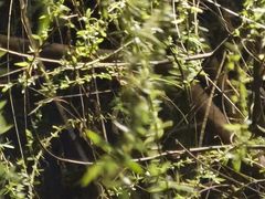 -再回头私房菜·老南京菜