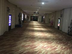 -武汉华夏国际影城(鲁广店)