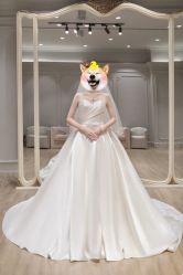 -MuseMarry婚纱(前海嘉里中心店)