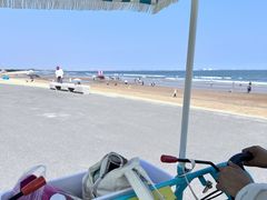 -日照海滨国家森林公园