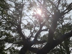 -胡里山炮台