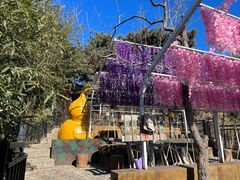 -丽泽山庄·生态怀柔菜·虹鳟鱼(红螺寺店)